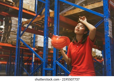 Asian Female Workers Sit And Take Off Their Safety Hats Tired Of The Warehouse Work Many Check Stocks Are Overworked Tired And Exhausted Sit And Take Break To Wipe The Sweat On Their Faces.
