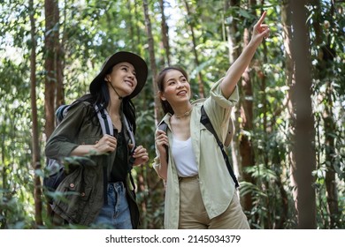 Asian Friend Girls Backpacker Friend Travel In Forest Wild Together. Attractive Young Women Couple Traveler Walk And Exploring Nature Wood With Happiness And Fun During Holiday Vacation Trip On Summer