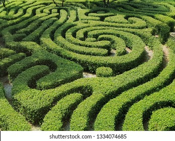 Asian Garden Maze