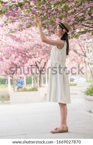 Similar – Image, Stock Photo blossom Lifestyle Elegant