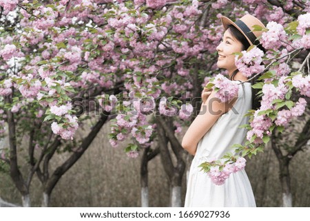 Similar – Image, Stock Photo blossom Lifestyle Elegant