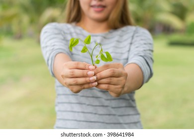 Asian Girl Beautiful Hand Holding Green Leaf In Park On Holiday. Concept Eart Day.