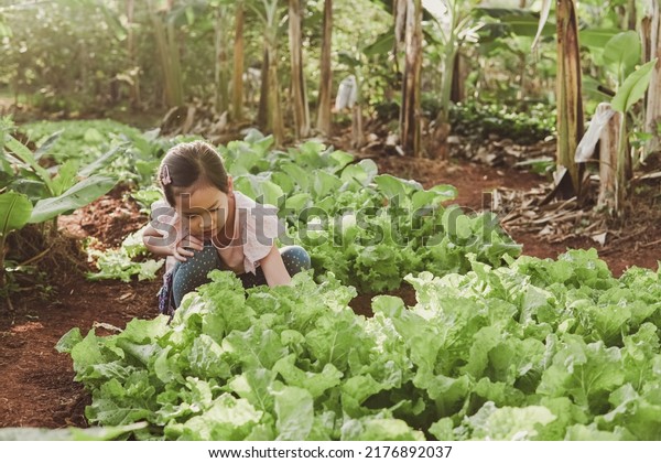 Asian girl child harvesting fresh\
homegrown vegetables, eating healthy food, montessori learning,\
sustainable living, share community produce\
concept