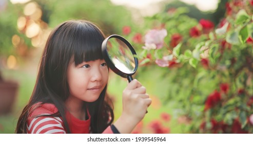 Asian girl hold magnifer and observe flower with curiosity happily