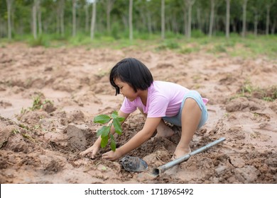 An Asian girl is planting trees in the ground to add oxygen to the world and replace the energy he uses.