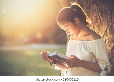 Asian Girl Reading Book At Park In Summer Sunset Light. 