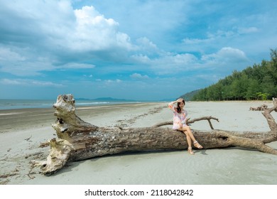 Asian girl sitting on death tree on sandy beach with Pine forest in Laem Son national park, Ranong, Thailand