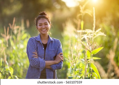 Asian girl standing and smiling in her corn field in the sun at dawn.
