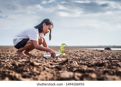 Asian Girl Watering Green Plant In Dry Land,Crack Dried Soil In Drought And ,Climate Change From Global Warming.