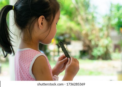 Asian Girls Eating Seaweed Snacks