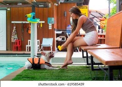 An Asian Girls Perfect Body Tan Skin Enjoy Playing With Her French Bulldog At Swimming Pool, Life Style Of Young People On Summer Holiday, Heat Stroke And Hyperthermia In Dogs