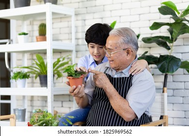 Asian Grandfather And His Grandson Spent Time Together In The Garden.