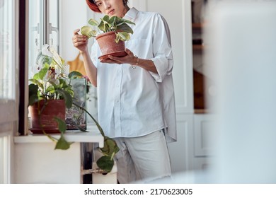 Asian Guy Holding And Caring For The Plant At Home