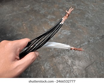 Asian hand holding unshielded cable with black and white wire colors - Powered by Shutterstock