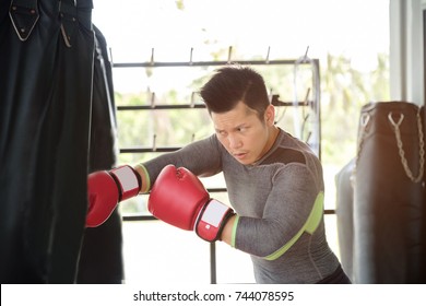 Asian Handsome Fitness Man Who Has Perfect Body By Boxing With Boxing Gloves At Gym, Healthy Man Do Workout At Gym, Healthy Sport Concept