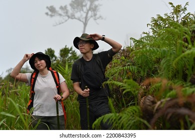 Asian Hikers Male And Female On The Rain Forest Trail.