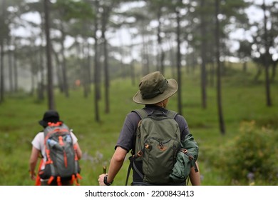 Asian Hikers Male And Female On The Rain Forest Trail.