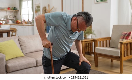 Asian Injured Mature Male Groaning In Pain While He Tries To Get Up With A Stick After Fall At Home. He Holds His Lower Back And Can Barely Stand Up