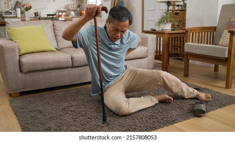 Asian Injured Mature Male Groaning In Pain While He Tries To Get Up With A Stick After Fall At Home. He Holds His Lower Back And Can Barely Stand Up