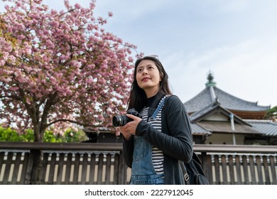 asian Japanese female photographer admiring natural beauty while traveling to Kofuku-ji temple in nara japan with pink cherry blossom at background under blue sky - Shutterstock ID 2227912045