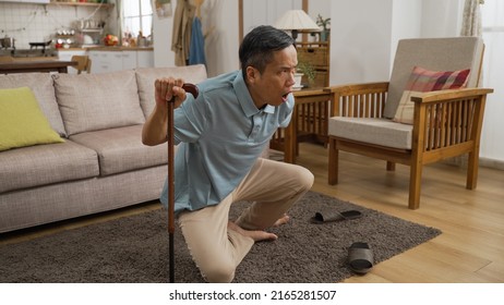 Asian Japanese Injured Mature Male Groaning In Pain While He Tries To Get Up With A Stick After Fall At Home. He Holds His Lower Back And Can Barely Stand Up