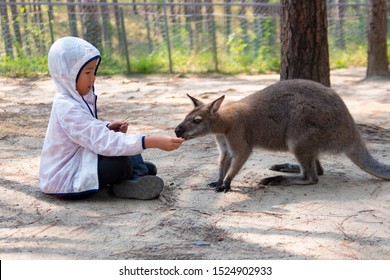 家族日本人外食hd Stock Images Shutterstock