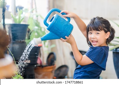 Asian Kid Girl 6 Years Old Watering Water The Plant In The Garden Outside.Stay Home Plant Growing Learning Activity And Child Responsibility.Happy Asian Girl Watering Garden In Morning.Home School.