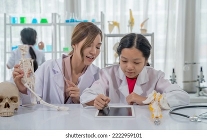 Asian Kid Learning With Doctor In The Laboratory. Physical Examination And Science Education Class.