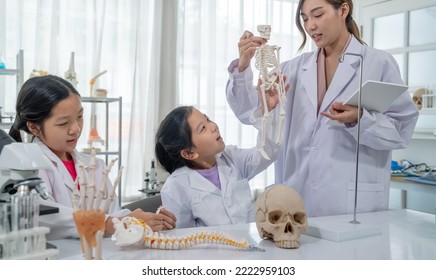 Asian Kid Learning With Doctor In The Laboratory. Physical Examination And Science Education Class.