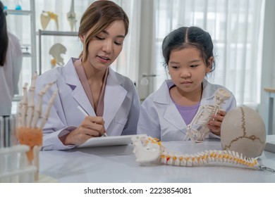 Asian Kid Learning With Doctor In The Laboratory. Physical Examination And Science Education Class.