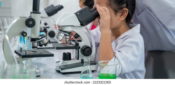 Asian Kid Learning With Scientist In The Laboratory. Physical Examination And Science Education Class.