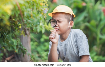 Asian Kid Looking At Leaves And Holding Magnifying Glass For Explore.