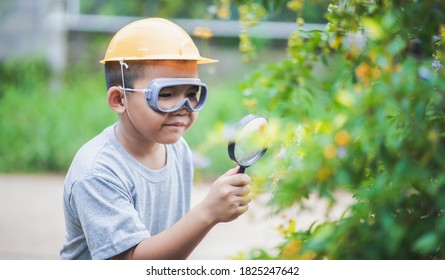 Asian Kid Looking At Leaves And Holding Magnifying Glass For Explore.