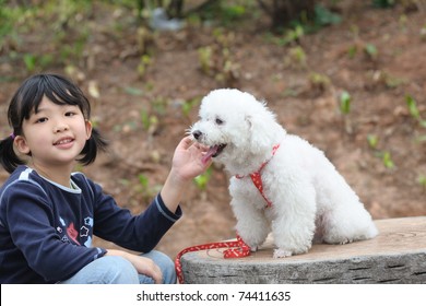 Asian kid playing with a toy poodle dog