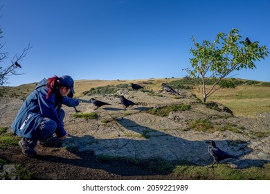 An Asian Lady feeding crows at Arthur's seat Edinburgh, Scotland