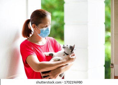 Asian Lady Rescuer Carrying A Cat While Wearing A Face Mask For Protection.Female Protecting From Animal Covid19 With Facemask Standing Near Door. Sick Kitty.Person Looking After Ill Animals.Stay Home