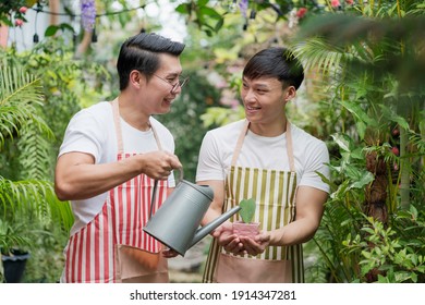 Asian LGBTQ Gay Man Couple Soul Mate Wear Apron Relax Hobby To Water Young Plant, Heart Cactus Together The Green Garden Home. Looking Each Other With Happy Love Smile In Evening On Weekend Holiday.