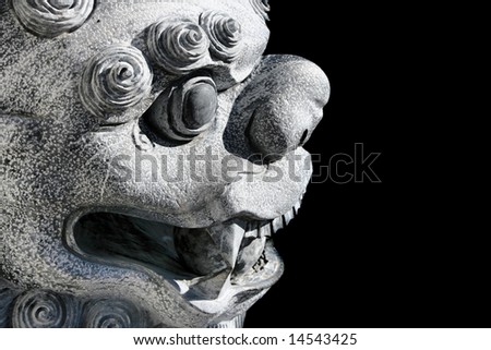 Asian Lion with Teeth Bared Facing Right