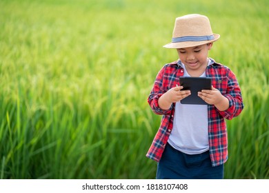 Asian Little Boy Watching Tablet And Interested In Learning The Surroundings In The Green Fields, Education Concept Outside The Classroom Educational Freedom