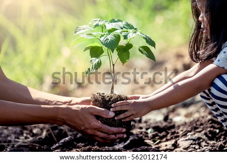 Asian little child girl helping her father to plant the young tree in the garden as save world concept