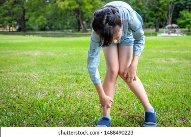 Asian Little Child Girl Itching Her Leg From Insect Bites,mosquito Bite,itching Of Skin Diseases,girl Scratching Leg With Hand,allergy,rashin Outdoor Park,ringworm,tinea Problem,atopic Dermatitis