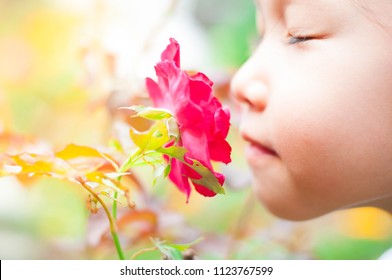 Asian Little Child Girl Smelling Flower In The Garden,Her Feeling Enjoyment With Red Rose.
