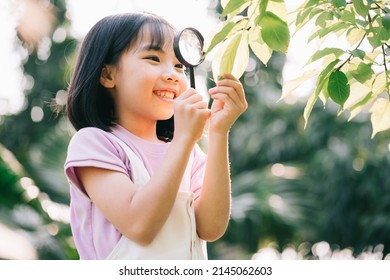 Asian little girl is using magnifying glass to play in the park
