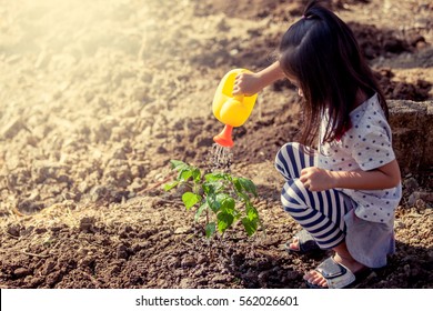 Asian little girl watering young tree with watering pot in vintage color tone