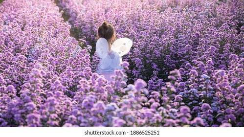 Asian little girl wear a magic ballet fairy costume in beautiful purple of margaret flowers field. - Powered by Shutterstock