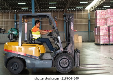 Asian Male Driver Driving Forklift To Shipping Delivery Product In The Warehouse Distribution. Import Export Logistic Career, Worker Working At Industrial Factory.