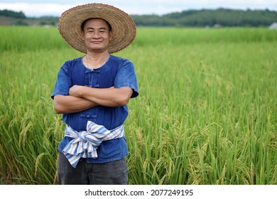 Asian male farmer wear hat ,cross his arms on chest and stands at paddy field. Feel happy, confident and proud in crops. Concept : Agricultural occupation. Thai farmer.                               - Powered by Shutterstock