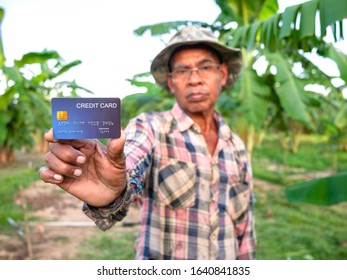 An Asian male gardener showing credit card in his banana garden, Thailand