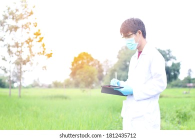 Asian Male Scientist Record Rice Field Quality Inspection Data In The Laptop. Use Of Technology In Study And Research. Data Collection Of Rice Growth.