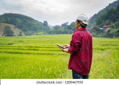 Asian Man Agricultural Engineer Test Plants Health And Analyze Data With Tablet Laptop In Industrial Greenhouse.Farmer Plantation Checking Quality By Digital Agriculture Modern Technology Concept.